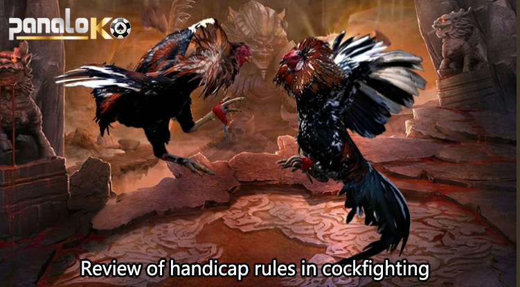 Review of handicap rules in cockfighting